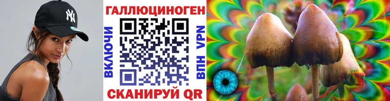 Псилоцибиновые грибы мицелий площадка клад Слободской